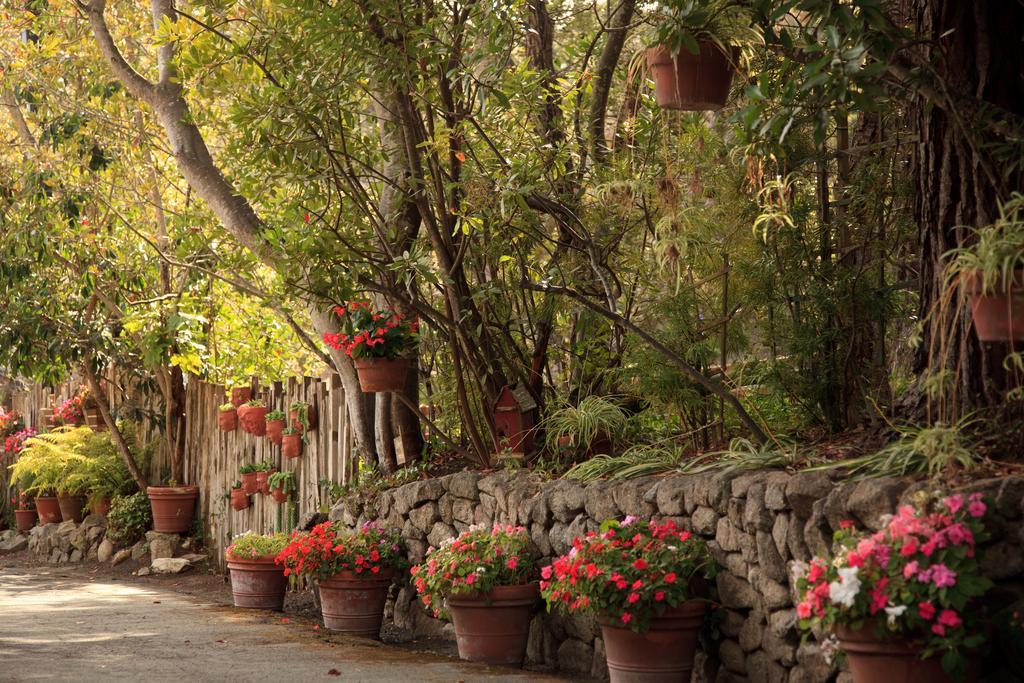 Old Monterey Inn Exterior photo